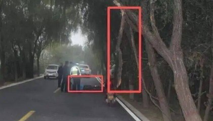 女教师骑车上班“撞树”身亡，交警认定其超速！法院一审、二审反转！家属最终获赔76万元