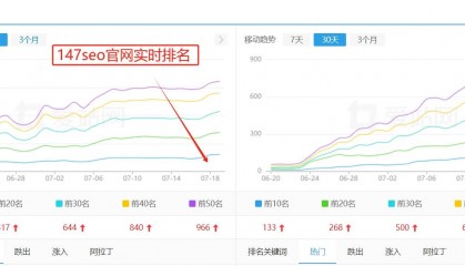 seo是什么意思