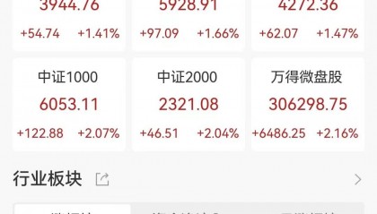 高盛:过去4周全球资金净流入A股243.85亿美元!印度股市流出2.84亿美元