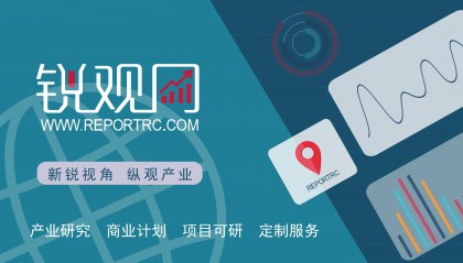 2025-2029年中国数字藏品行业投资规划及前景预测报告