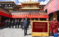 中央代表团在拉萨看望慰问各族干部群众 王沪宁参加活动