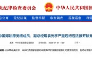 打虎！两大央企原高管，同日被处理