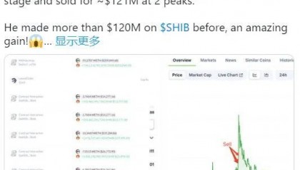 鲸鱼狂购SHIB,柴犬股价飙升 9.5%,价格将跌至 0.0001 美元?