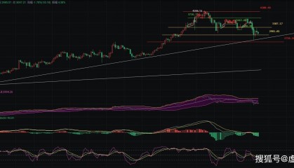2024.4.17币圈院士独家解读以太坊最新走势！3000 关口操作指南