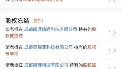 Freechat 8000万美元融资疑云:创始人十年前日挖55枚比特币,现被限制高消费