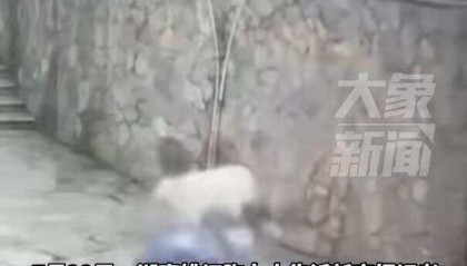 湖南两高中生骑电动车撞围墙身亡,两人均未佩戴安全头盔 家属称系改装车,最高时速100公里