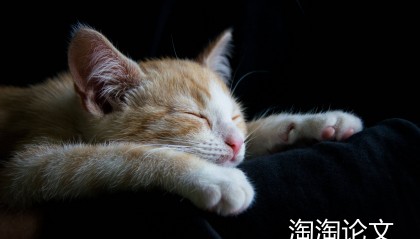 cip书号是什么意思?