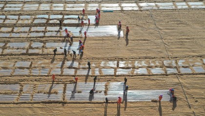 雪莲绽放新时代 团结奋斗谱新篇