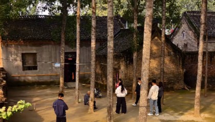 河南一大爷的院子因干净成网红打卡地，网友：像极了小时候家的样子，想拖鞋光脚丫子走