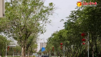 最近出门，总觉得乌鲁木齐哪里变了……