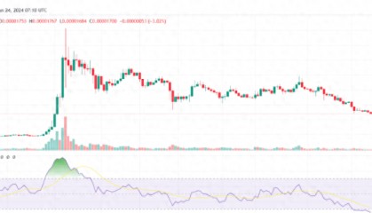 柴犬(SHIB)价格急速下跌,关键指标揭示震撼现状
