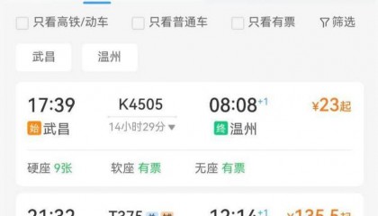 2折春运火车票来了