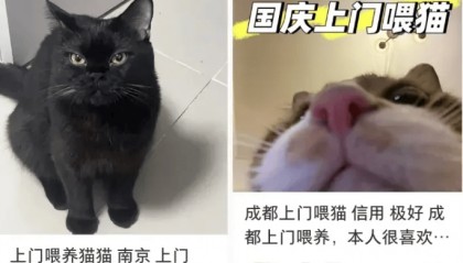 这个需求激增！一男子连接270单，其中一笔收费8100元