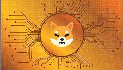 SHIB销毁率上升,价格即将上涨?