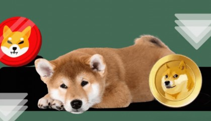 Doge和Shib价格失去动力:这些 Memecoin 的下一步走势如何!