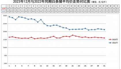 北京:2023年12月份猪肉价格走势分析