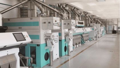 从“不咋地”到“香得很”，你不知道的种稻秘密都藏在数智化里