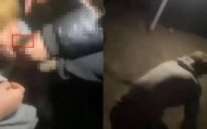甘肃16岁男生遭多人欺辱殴打，被逼跪地爬行学狗叫
