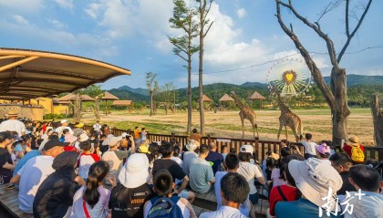 偶有阵雨！未来一周清远天气以晴热为主