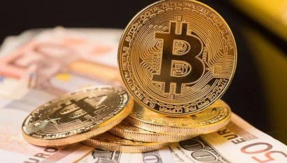 柴犬会崩溃吗?分析 SHIB 价格的未来