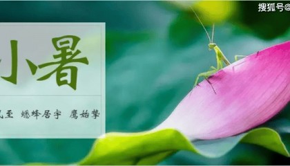 小暑大暑上蒸下煮是什么意思,小暑大暑是什么意思