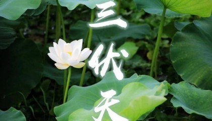 热在三伏,秋后一伏”是什么意思,伏秋是什么意思