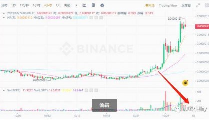 PEPE青蛙币暴涨30万倍