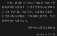 赤峰通报“因网传白菜免费信息，致菜农白菜地被他人采收”一事：已成立联合调查组