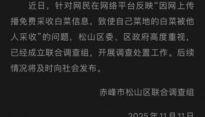赤峰通报“因网传白菜免费信息，致菜农白菜地被他人采收”一事：已成立联合调查组