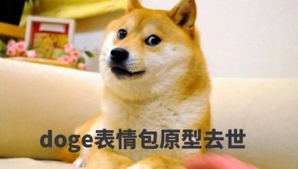 红遍全球的狗狗表情包原型去世!爆红14年,连马斯克都是它的迷弟...