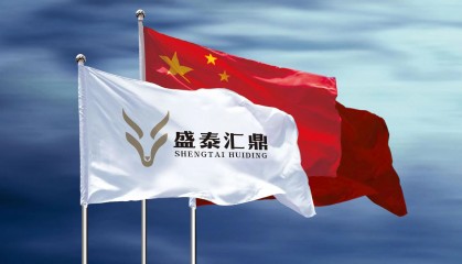 鑫鼎盛(鑫鼎盛赢网络科技有限公司)