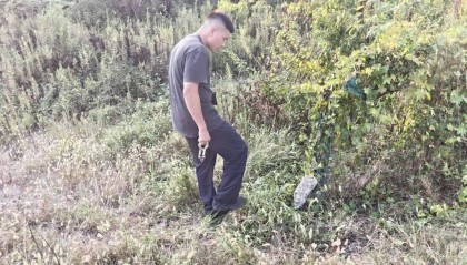 浙江一姑娘以奶茶为记号，竟然在草丛里藏了11万现金！