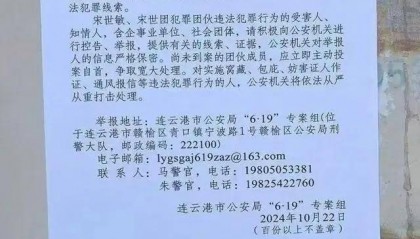实探已落网的江苏“农民副县长”宋世敏老家：强制改造村内住房引争议 曾任当地一学校董事长