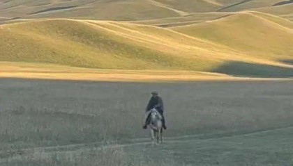 新疆男子在外工作偶然回家，父亲骑马飞奔迎接，感人一幕被拍下：爸爸快马加鞭从羊群赶回来