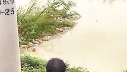 5年前，一位深圳货车司机跳进污水救人牺牲 他走了很久，但人们一直记得