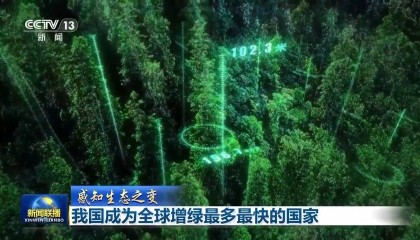 感知生态之变丨我国成为全球增绿最多最快的国家
