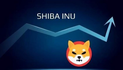 SHIB销毁率飙升5,569%,推动市场热议,SHIB价格下跌引发关注!