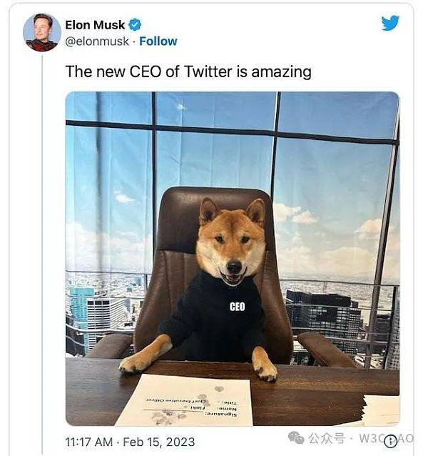 狗狗币真的能涨到一美金一枚吗
