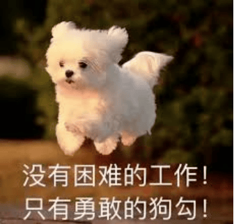 有趣的单词｜dog狗 ear 耳朵 dogear 狗狗的耳朵？
