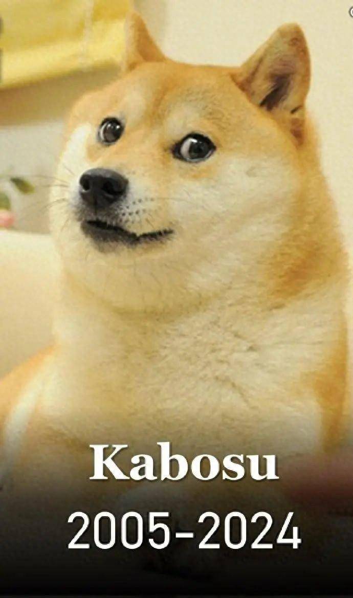 doge表情包原型去世