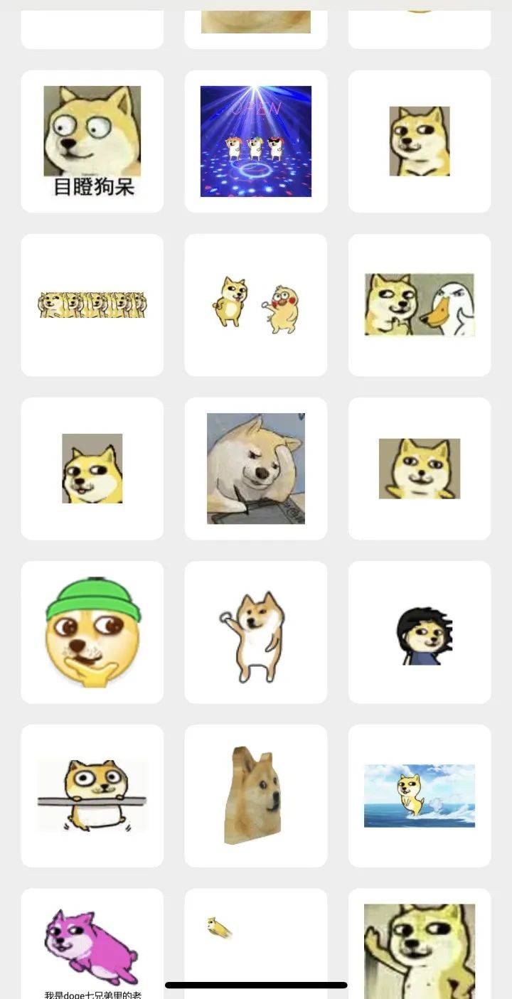 doge表情包原型去世
