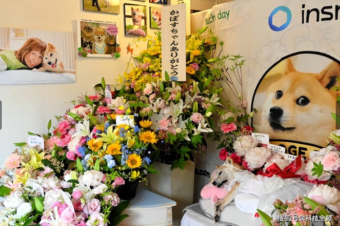 世界上最著名“Kabosu”柴犬离开世界，全球狗币持有者共同哀悼！