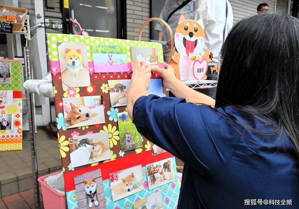 世界上最著名“Kabosu”柴犬离开世界，全球狗币持有者共同哀悼！