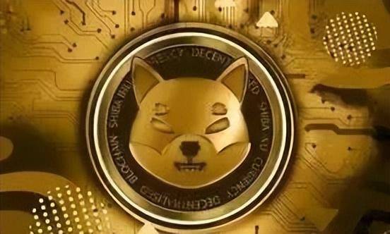 SHIB vs DOGE：8月决战，谁将加冕MemeCoin之王？