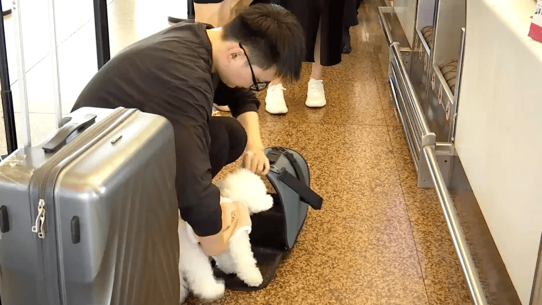 云南首例！带着狗狗坐飞机！价格是→