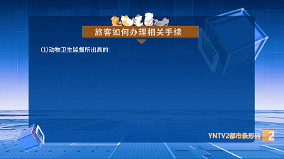 云南首例！带着狗狗坐飞机！价格是→