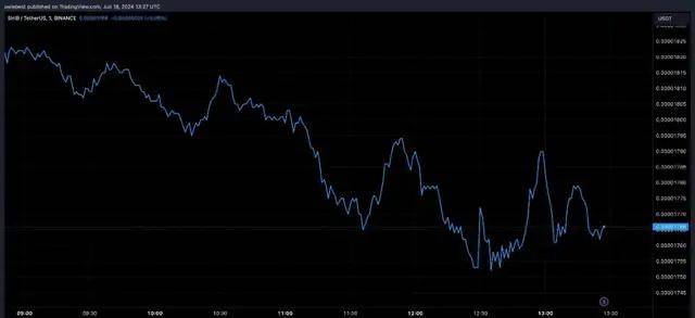 SHIB销毁率飙升5,569%，推动市场热议，SHIB价格下跌引发关注！