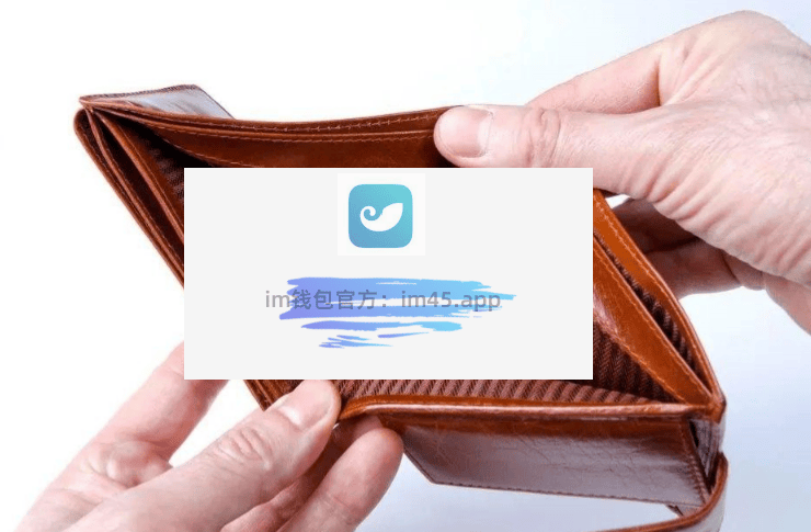 安全iMtOken钱包公共网络上的风险与官方版防范