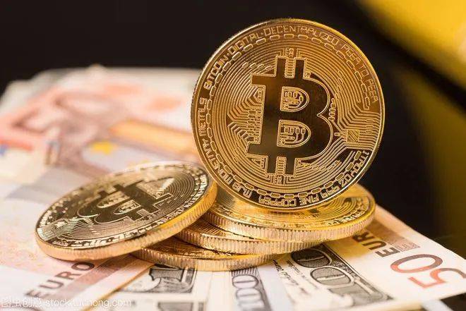 柴犬会崩溃吗？分析 SHIB 价格的未来