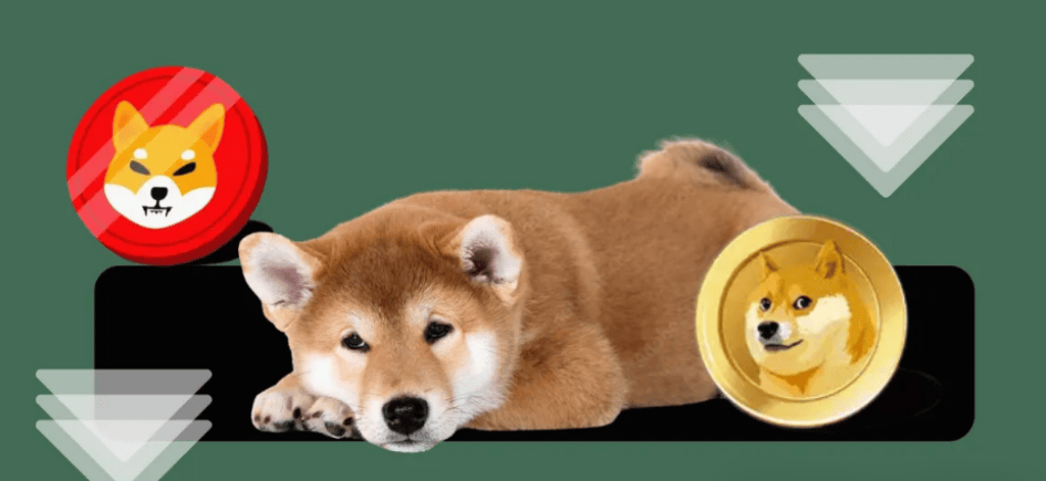 Doge和Shib价格失去动力：这些 Memecoin 的下一步走势如何！
